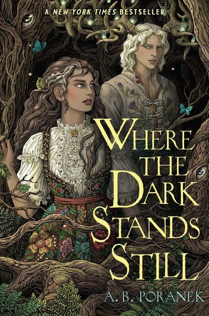 Where the Dark Stands Still (Reprint) - Ingram