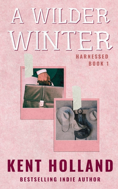 A Wilder Winter: A Queer (MM) Romance - Ingram